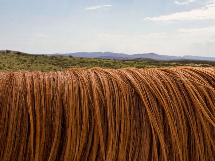 The ultimate guide to curly hair maintenance