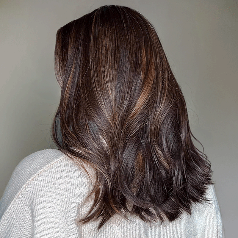 Elegant Fluffy 13x4 Glueless Brown Highlight Color Wavy Wig 100% Human Hair