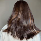 Elegant Fluffy 13x4 Glueless Brown Highlight Color Wavy Wig 100% Human Hair